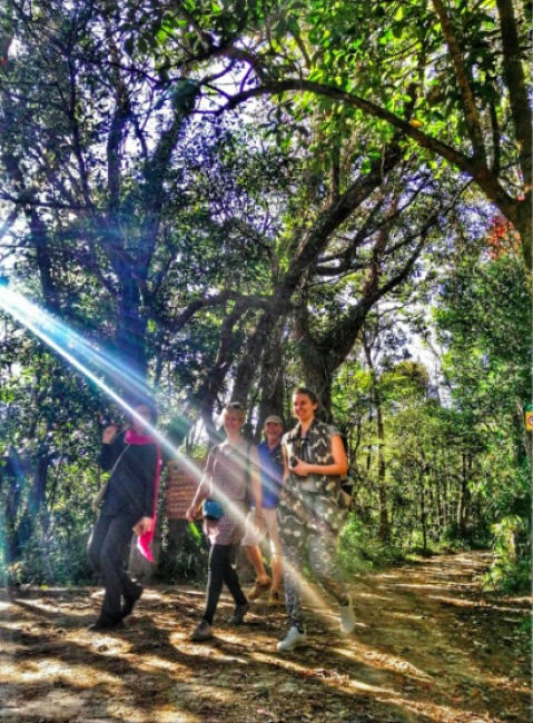 Bach Ma National Park Day Tour from Hue/Da Nang/Hoi An | Vietnam